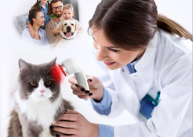 See here for a great way to help you improve your gastrointestinal health!