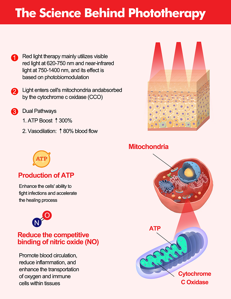 red light therapy panel
