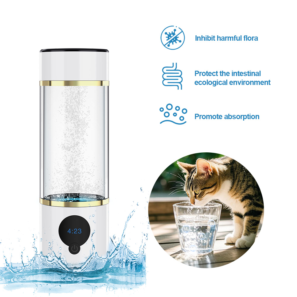 hydrogen water bottle (11)
